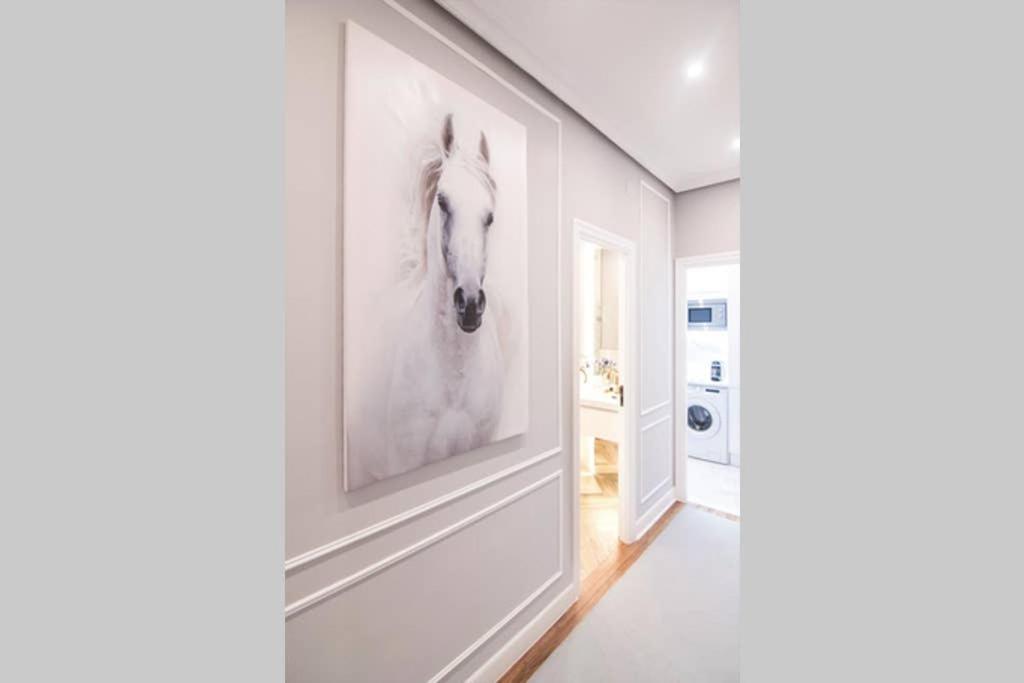 La Plaza Luxury Apartment San Sebastián Exteriér fotografie